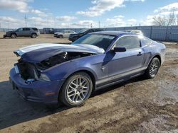 Salvage cars for sale at Greenwood, NE auction: 2014 Ford Mustang