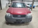 2005 Ford Escape XLT