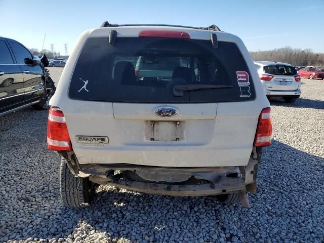 2009 Ford Escape XLT