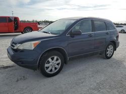 Salvage cars for sale at Arcadia, FL auction: 2011 Honda CR-V SE