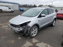 Salvage cars for sale from Copart Pennsburg, PA: 2013 Ford Escape SE