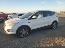 Salvage cars for sale at San Diego, CA auction: 2017 Ford Escape SE