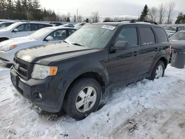 2012 Ford Escape XLT