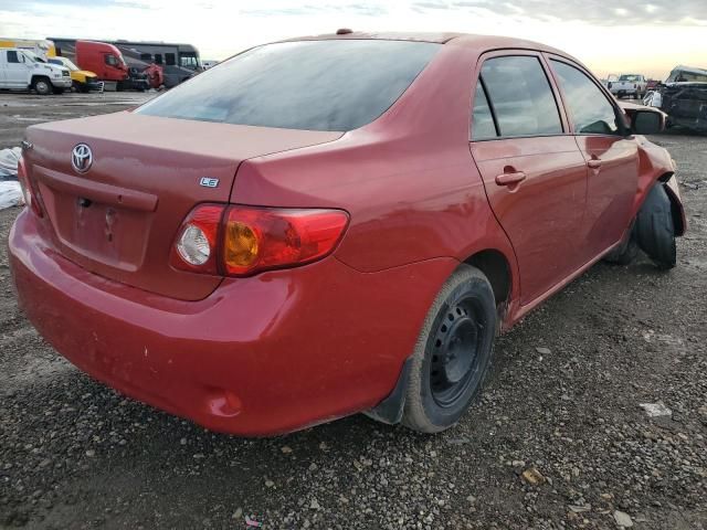 2009 Toyota Corolla Base