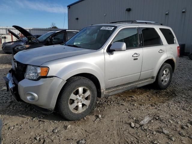 2011 Ford Escape Limited