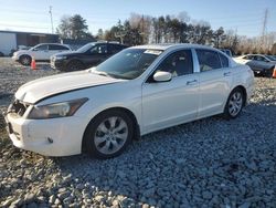 Honda Accord salvage cars for sale: 2008 Honda Accord EXL