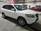 2007 Hyundai Santa FE SE