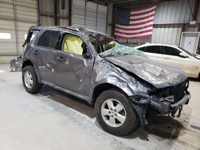 2009 Ford Escape XLT