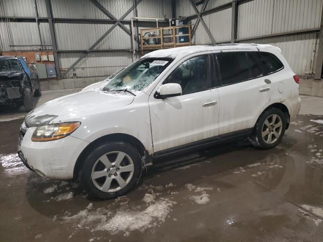 2009 Hyundai Santa FE SE