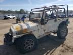 1997 Jeep Wrangler / TJ Sahara