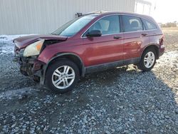 Salvage cars for sale at Tifton, GA auction: 2011 Honda CR-V EX