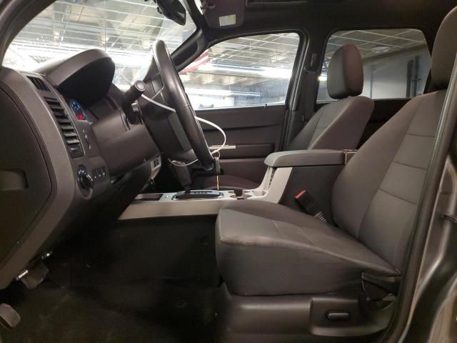 2011 Ford Escape XLT