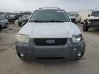 2007 Ford Escape XLT