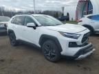 2023 Toyota Rav4 Adventure