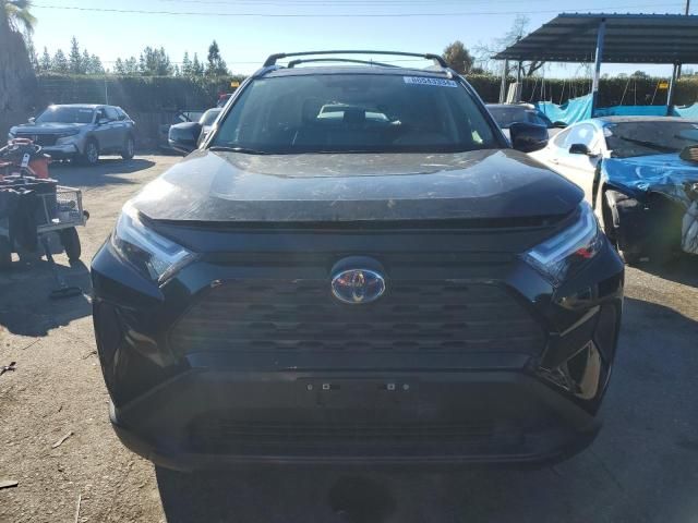 2023 Toyota Rav4 XLE