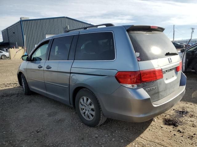 2009 Honda Odyssey EXL