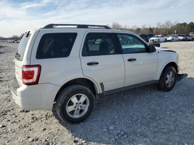 2011 Ford Escape XLT