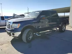 Ford F-150 salvage cars for sale: 2012 Ford F150 Supercrew