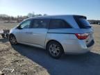 2013 Honda Odyssey EX