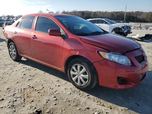 2010 Toyota Corolla Base