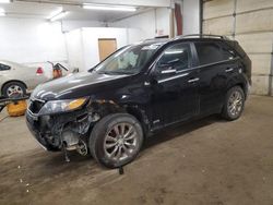 Salvage cars for sale at Ham Lake, MN auction: 2012 KIA Sorento SX