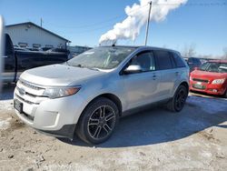 Ford Vehiculos salvage en venta: 2013 Ford Edge SEL