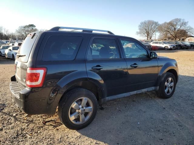 2011 Ford Escape Limited