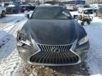 2024 Lexus ES 300H Base