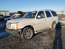 Cadillac salvage cars for sale: 2005 Cadillac Escalade Luxury