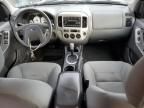 2006 Ford Escape XLT