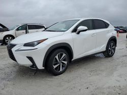 Salvage cars for sale at Arcadia, FL auction: 2020 Lexus NX 300