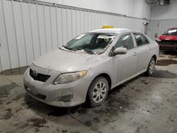 Salvage cars for sale from Copart Windham, ME: 2010 Toyota Corolla Base