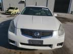 2008 Nissan Maxima SE