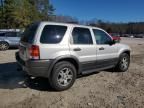 2003 Ford Escape XLT