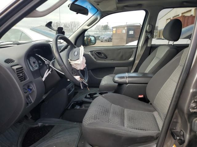 2004 Ford Escape XLT