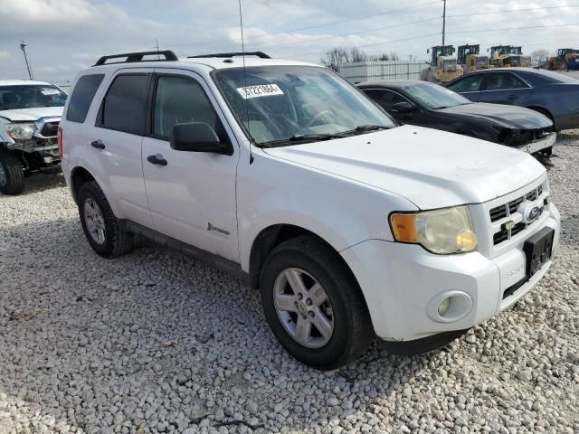 2011 Ford Escape Hybrid