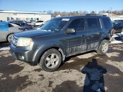 Salvage cars for sale at Pennsburg, PA auction: 2009 Honda Pilot EX