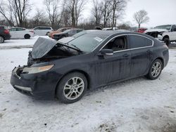 Salvage cars for sale at Cicero, IN auction: 2010 Acura TL