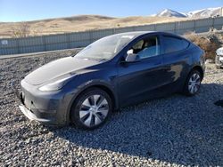 Salvage cars for sale at Reno, NV auction: 2024 Tesla Model Y