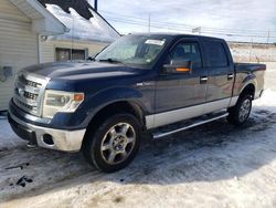 Salvage cars for sale at Northfield, OH auction: 2014 Ford F150 Supercrew