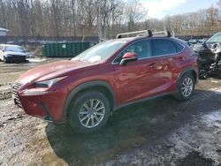 Lotes con ofertas a la venta en subasta: 2021 Lexus NX 300 Base