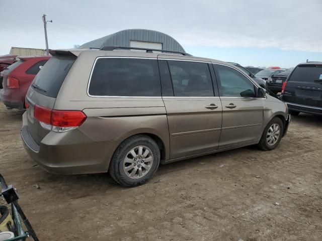 2008 Honda Odyssey EXL