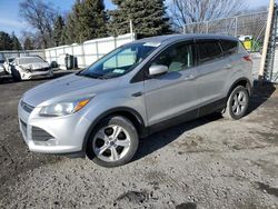 Salvage cars for sale at Marlboro, NY auction: 2016 Ford Escape SE