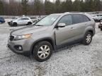 2012 KIA Sorento Base