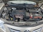 2007 Toyota Camry Hybrid