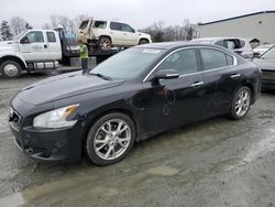 Nissan salvage cars for sale: 2014 Nissan Maxima S