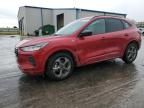 2023 Ford Escape ST Line