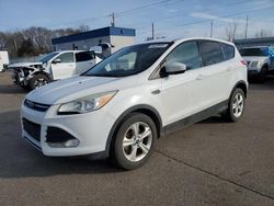 Ford Escape se salvage cars for sale: 2013 Ford Escape SE