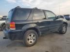 2005 Ford Escape Limited