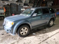 Salvage cars for sale from Copart Albany, NY: 2011 Ford Escape XLT